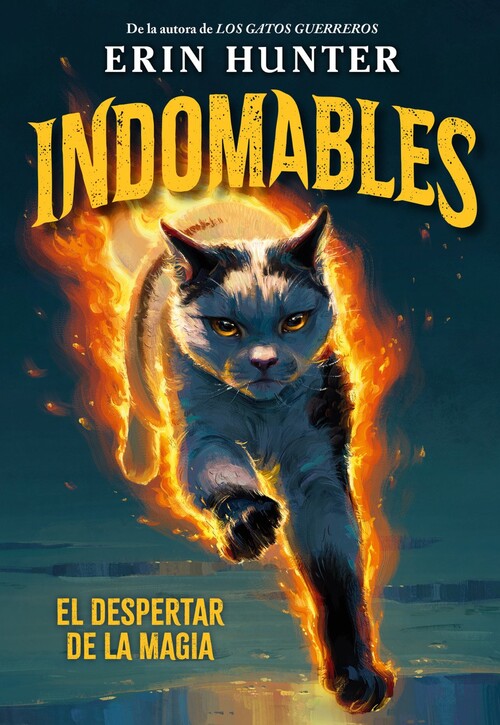 ANTES DE LA TORMENTA (GATOS GUERREROS CUATRO CLANES 4)