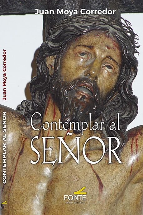 CONTEMPLAR AL SE�OR