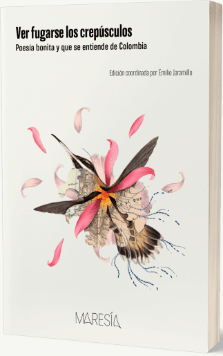 VER FUGARSE LOS CREPUSCULOS