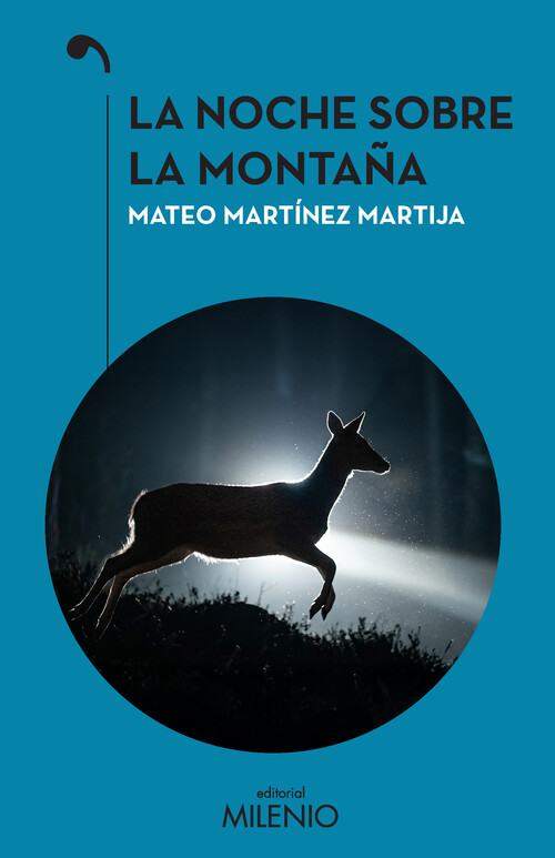 NOCHE SOBRE LA MONTA�A, LA